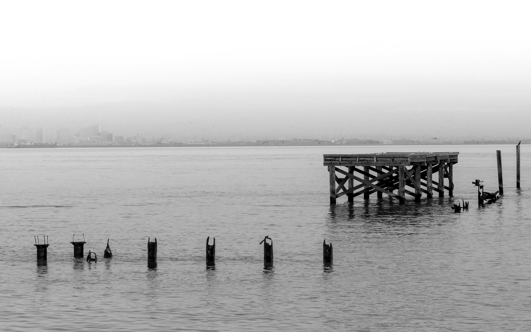 photograph by Thomas Krawczyk