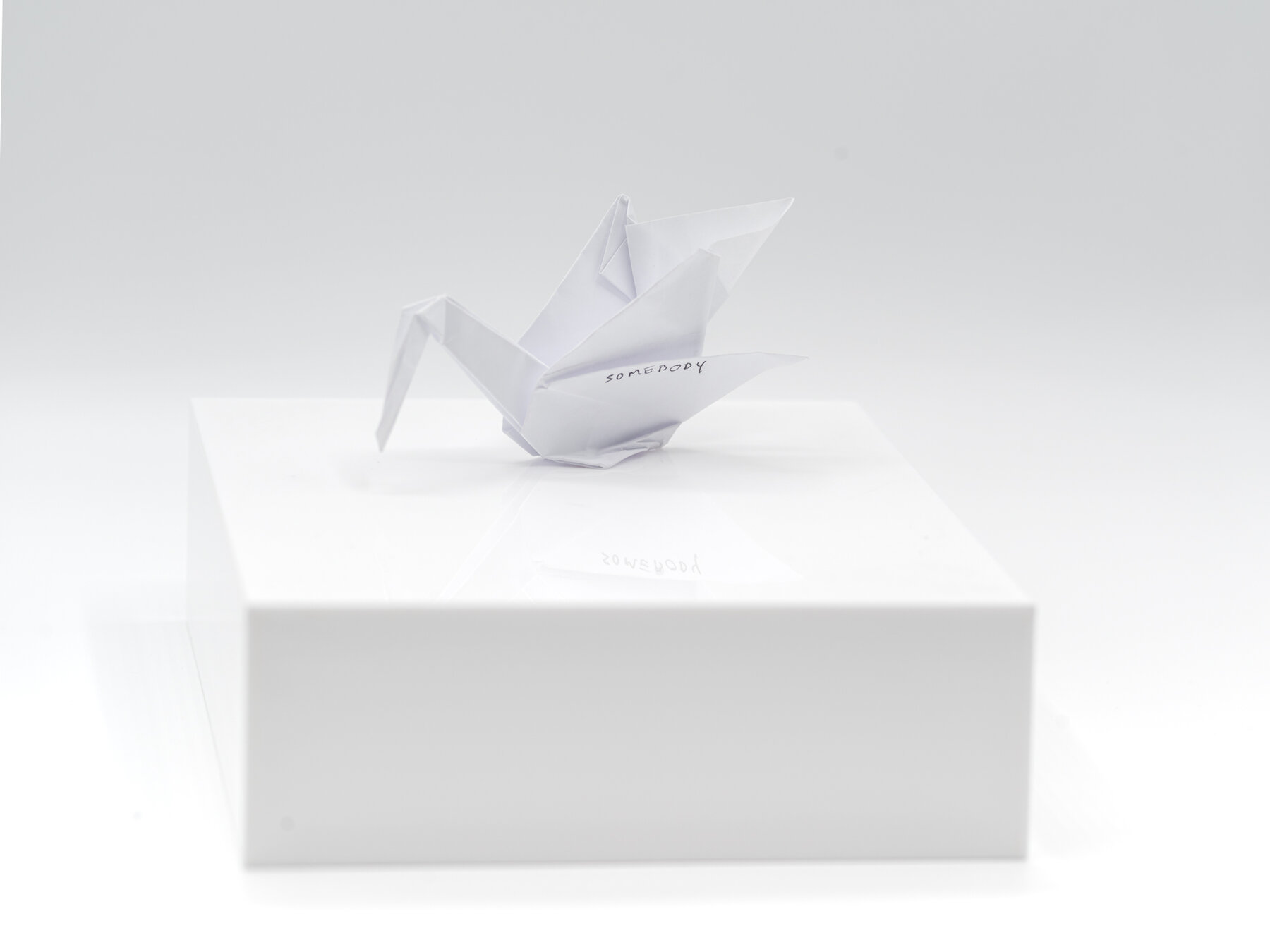 photograph by Thomas Krawczyk